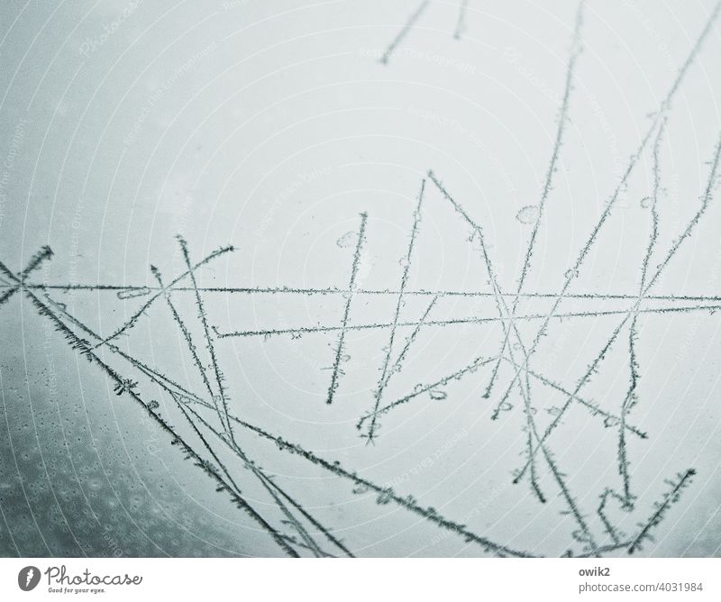Strichliste Glasscheibe Autodach Frost Eiskristall Linie Winter Himmel leuchten dünn frieren Strickmuster Zufall bizarr lang kalt Rätsel unklar Farbfoto