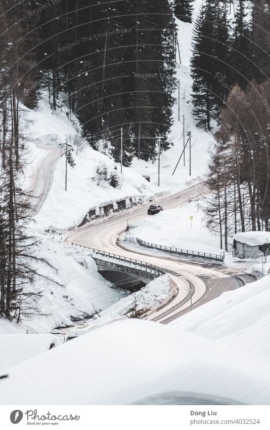 Winter, Schnee, Wald, Straße in der Schweiz Baum schwarz weiß PKW