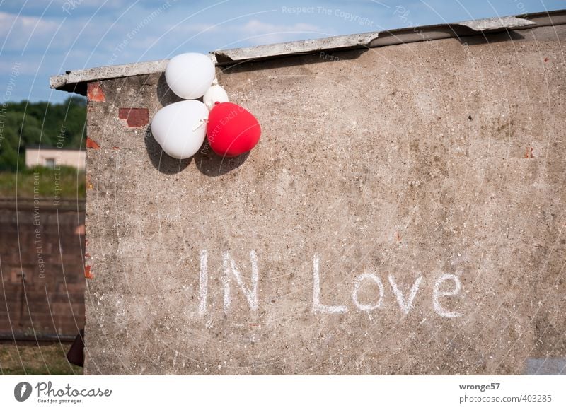 IN Love Magdeburg Deutschland Sachsen-Anhalt Europa Stadt Menschenleer Industrieanlage Ruine Hafen Gebäude Mauer Wand Schriftzeichen grau rot weiß Gefühle Liebe