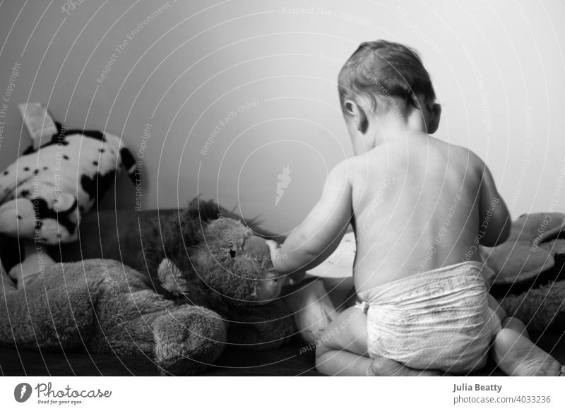 Junges Baby sitzt im Bett mit Kuscheltierspielzeug; Kind trägt Windel 6 Monate alt aufsitzend Rücken Stachel Behaarung Erreichen berühren Plüschtiere Spielzeug