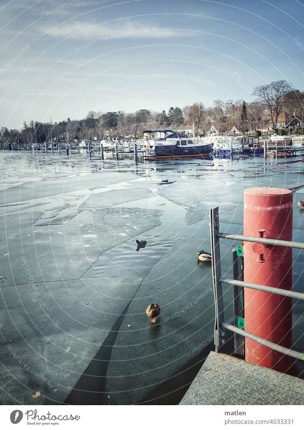 Hafen Kladow Berlin Winter Eisscholle Schönes Wetter Ente Steg Wasser Farbfoto gefroren Yacht Menschenleer Tag Fluss Außenaufnahme