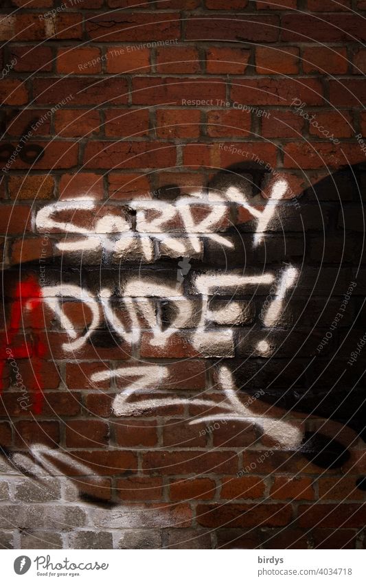 Sorry Dude, Graffiti in englischer Schrift. Sorry Kumpel ! Entschuldigung Freunschaft Jargon Backsteinwand Schriftzeichen Szene Jugendkultur Gemeinschaft