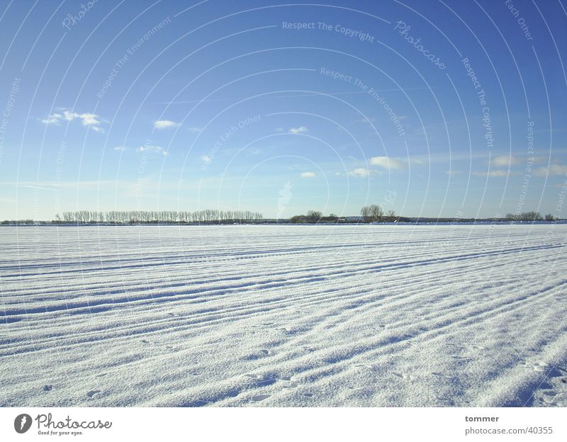 Schneelandschaft weiß Winter kalt Wolken Himmel blau Spuren