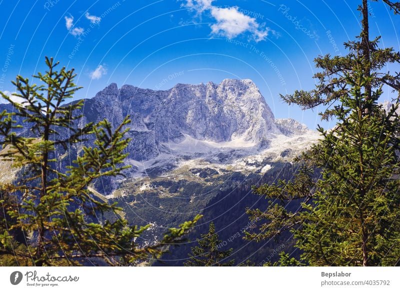 Julische Alpen julianische alpen slowenisch schön Schönheit Land Landschaft Europa Außenseite Garten Gras grün idyllisch Licht Wiese Berge u. Gebirge Natur