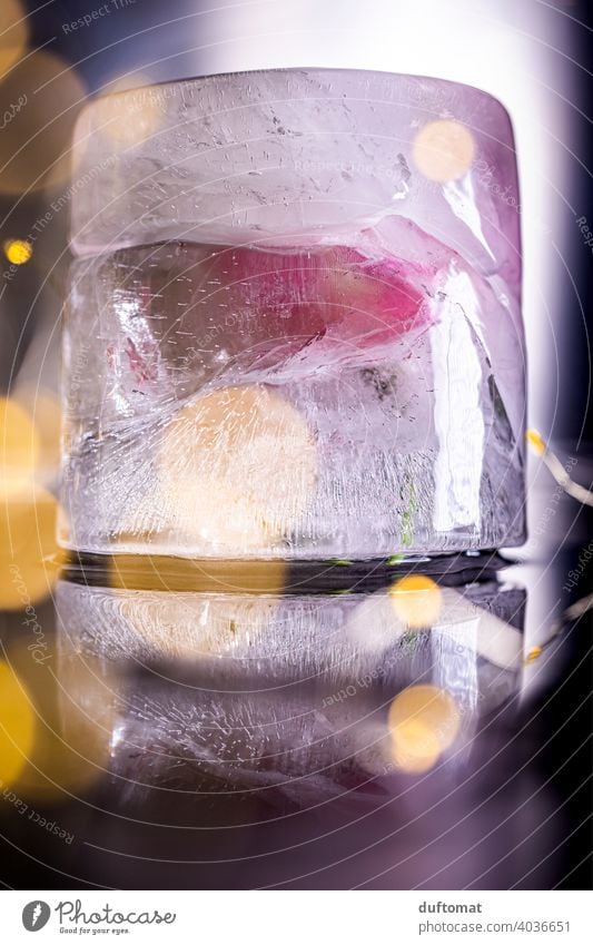Makroaufnahme einer im Eisblock eingefrorenen Orchidee eis Eiskristall gefrohren rosa soft kalt Hintergrundbild dof bokeh bokeh lichter Bokeh Hintergrund