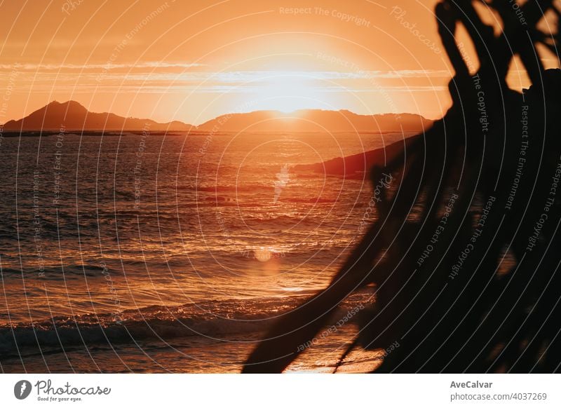 Ein Lagerfeuer am Strand während eines farbenfrohen massiven Sonnenuntergangs über ihm Freudenfeuer Feuer Flamme Sommer Nacht Abenddämmerung MEER reisen Natur
