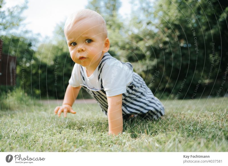 Niedliches Kleinkind krabbelt auf Rasen bezaubernd Baby Junge Kind Kindheit krabbeln kriechend niedlich Gefühle erkunden erkundend Ausdruck Familie Spaß Garten