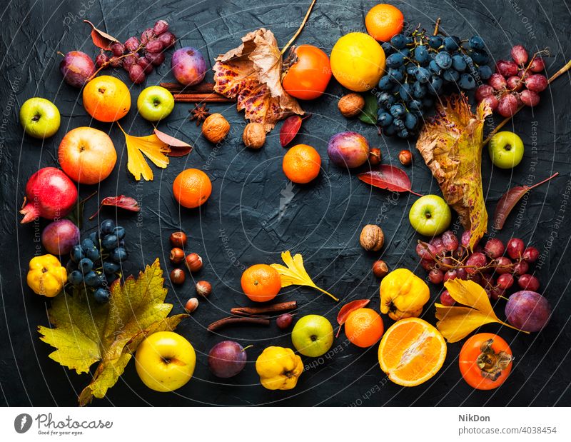 Ernte der Herbstfrüchte Frucht reif fallen herbstlich Vitamin Varieté Sammlung Lebensmittel Apfel Traube Oktober Mandarin roh natürlich organisch Saison
