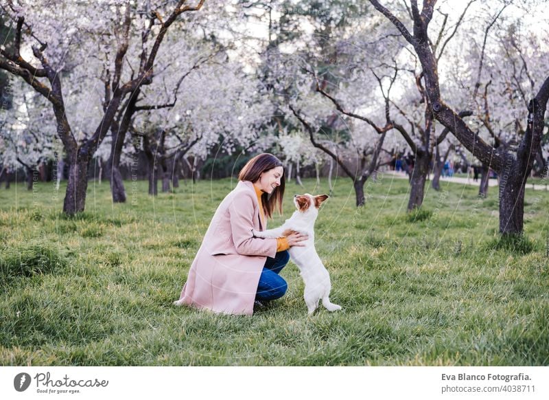 kaukasische Frau und Hund im Park im Frühling bei Sonnenuntergang. Liebe und Freundschaft Konzept. Haustiere im Freien jack russell Parkfeder Blumen