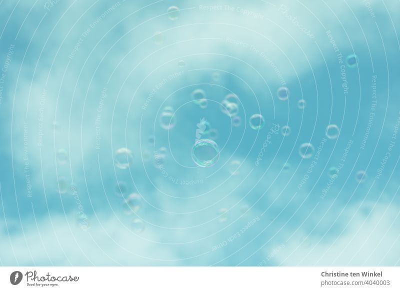 Viele Seifenblasen schweben hinauf in den leicht bewölkten blauen Himmel. Der Fokus liegt auf einer Seifenblase in der Bildmitte, die restlichen sind unscharf abgebildet