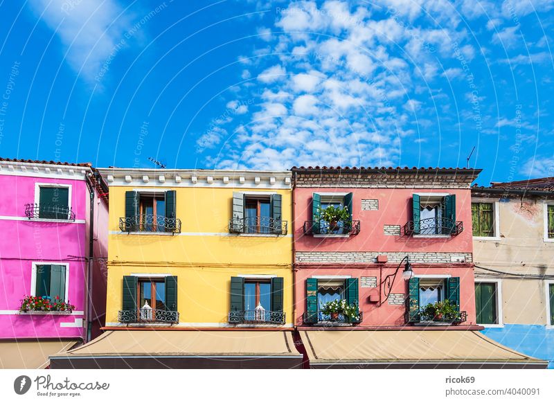 Bunte Gebäude auf der Insel Burano bei Venedig, Italien Fischerinsel Urlaub Reise Stadt Architektur Haus historisch alt bunt Farbe Sehenswürdigkeit Fenster