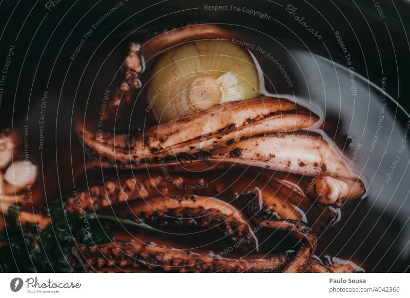 Oktopus kochen Octopus Brühe Essen zubereiten Meeresfrüchte Nahaufnahme Mittagessen Feinschmecker Lebensmittel Speise Tisch frisch Teller Mahlzeit Abendessen