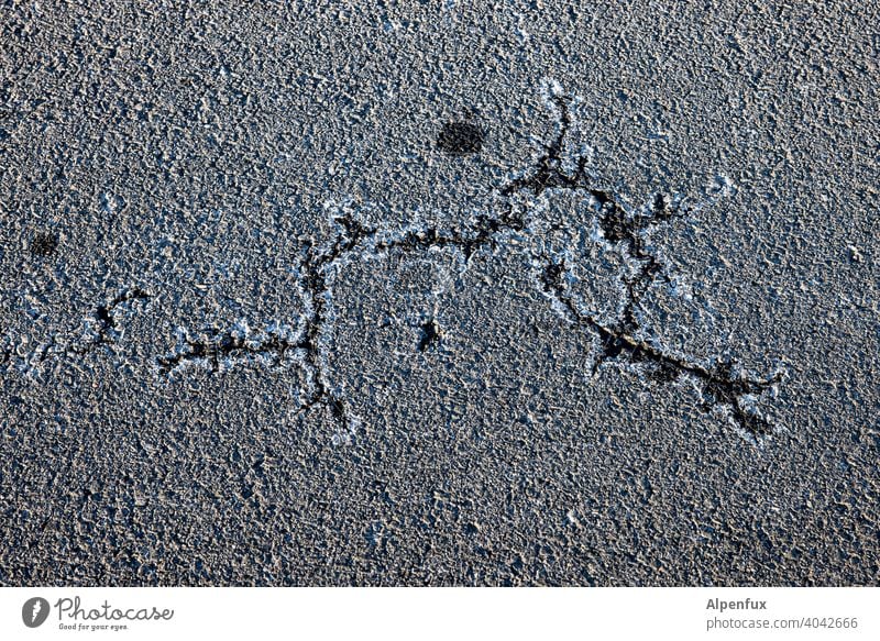 Dorian Gray risse Risse im Boden Außenaufnahme Menschenleer grau Strukturen & Formen Asphalt Nahaufnahme Detailaufnahme Muster Straße Verfall kaputt
