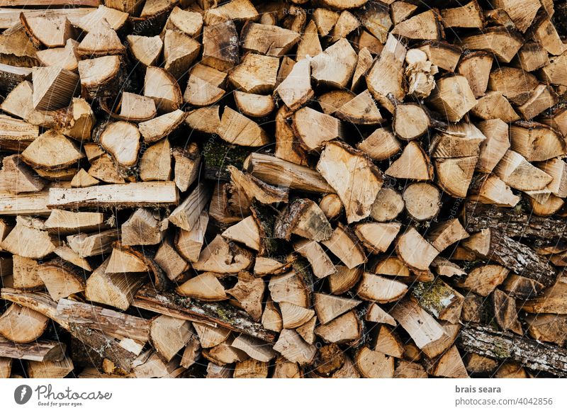 Voller Rahmen Stack of Logs Totholz protokolliert Stapel Baum Energie Saison Winter Holzplatz Natur Ökologie rustikal roh Hintergrund natürlich Holzstapel