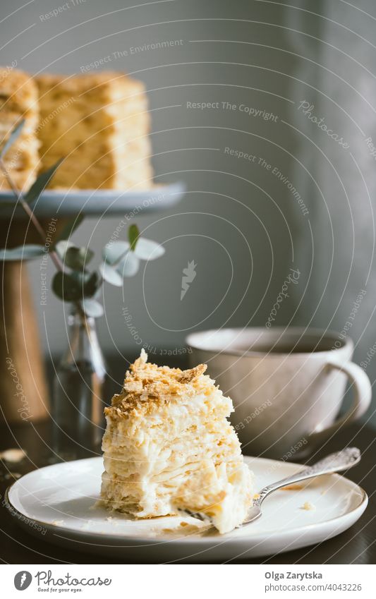 Scheibe der Mehrschichttorte Napoleon. Kuchen selbstgemacht Dessert Tee Lebensmittel Vanillepudding Sahne süß Tasse stehen Teller Hauch Zucker Tisch backen