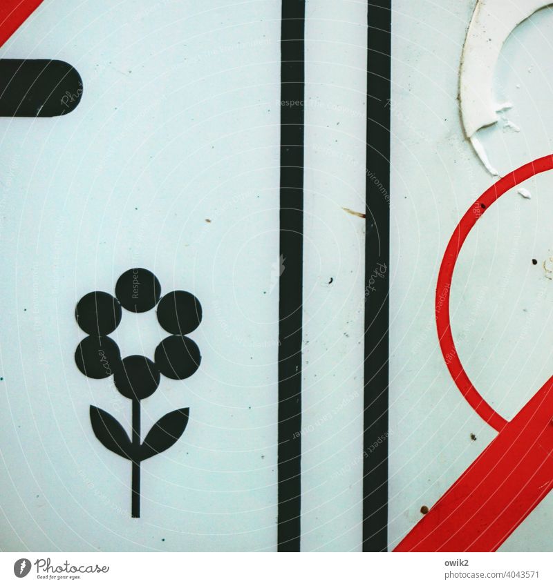 Blütenpracht Piktogramm Detailaufnahme Außenaufnahme Farbfoto abstrakt Totale schemenhaft Nahaufnahme Strukturen & Formen Zeichnung Linie