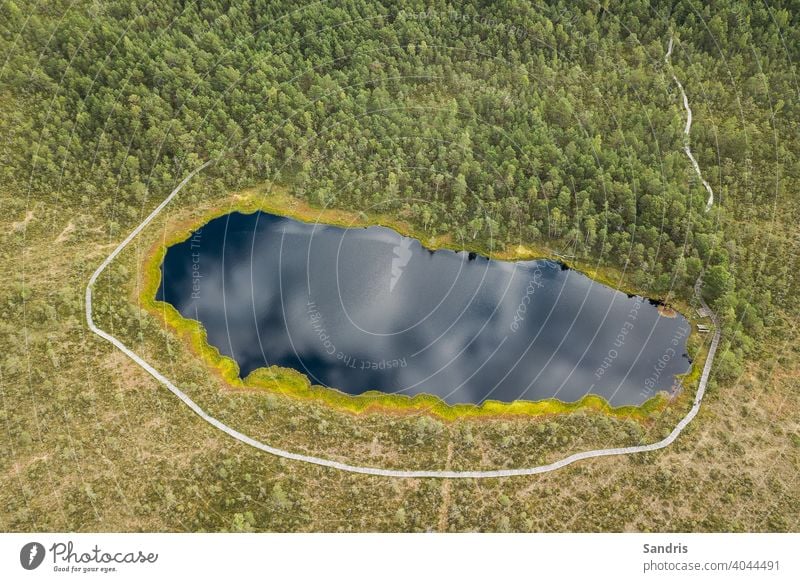 Kalnansu Sumpfsee mit Steg um, Kabile, Lettland Luftfotografie Hintergrund schön blau farbenfroh Umwelt Fußweg Wald Schneise Gras grün kabile kalnansi kalnansu