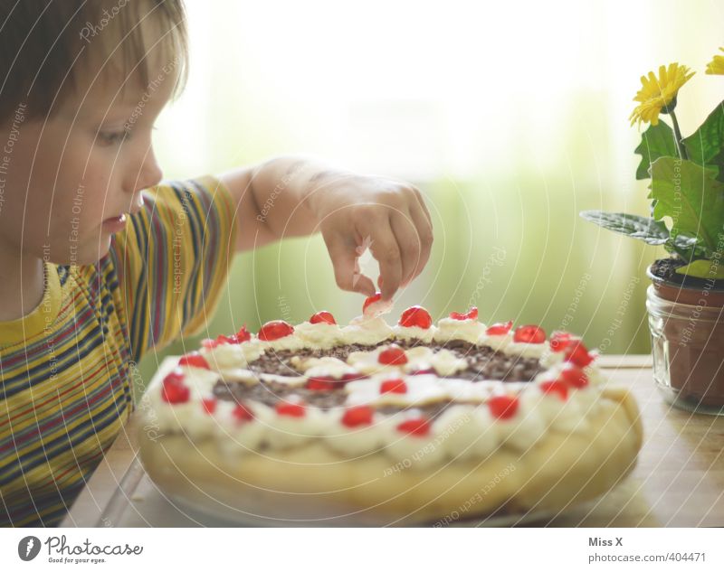 Naschzwerg Lebensmittel Kuchen Dessert Süßwaren Ernährung Kaffeetrinken Büffet Brunch Feste & Feiern Geburtstag Mensch Kind Kleinkind 1 3-8 Jahre Kindheit Essen