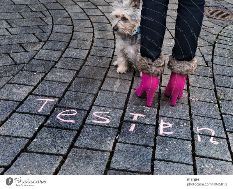 Eine Frau mit pinken Stiefel und ein kleiner Hund warten auf das Testen! testen Straße covid-19 coronavirus Pandemie Gesundheit Ansteckend Krankheit Fuß modern