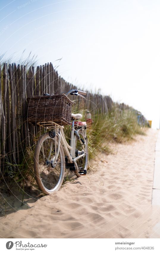 Fahrrad auf Strand Lifestyle Ferien & Urlaub & Reisen Tourismus Freiheit Sommer Sommerurlaub Fahrradfahren Wärme Dürre Sträucher Nordsee Erholung authentisch