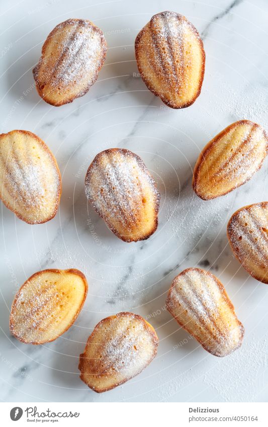 Nahaufnahme von oben von frisch gebackenen Madeleine-Kuchen mit Puderzucker bestäubt auf einem weißen Marmor Hintergrund madeleine Lebensmittel hausgemacht süß