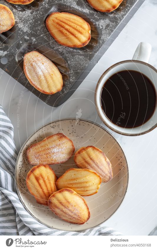 Draufsicht auf frisch gebackenen Madeleine-Biskuitkuchen mit Kaffee auf einer weißen Marmorfläche madeleine Madeleine-Kuchen Lebensmittel hausgemacht süß lecker