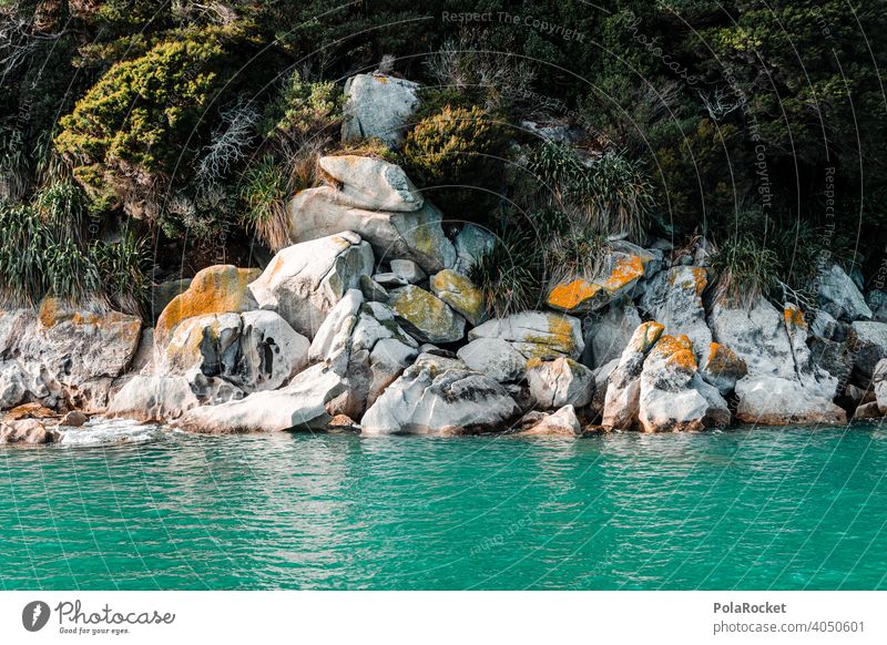 #AS# Seelöwen versteckt grün ufer Felsen Wildnis Wasser Meer Bootsfahrt blau Meerwasser Küste Stein Außenaufnahme Menschenleer Landschaft Natur Sommer