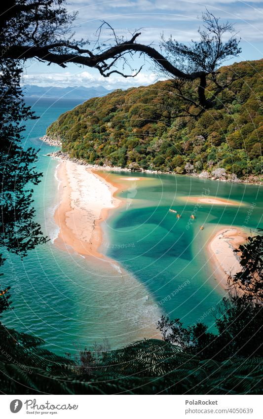 #AS# One Day In Paradise Paradies Meer Sand Sandstrand Kayaking Abel Tasman National Park Neuseeland blau grün Natur Landschaft Außenaufnahme Sommer Wasser