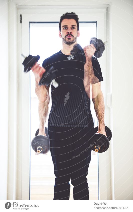 sportlicher Mann bei Fitnessübungen mit Gewichten zu Hause muskelaufbau Training zu Hause bleiben Lifestyle Gesundheit Hanteln trainieren diszipliniert