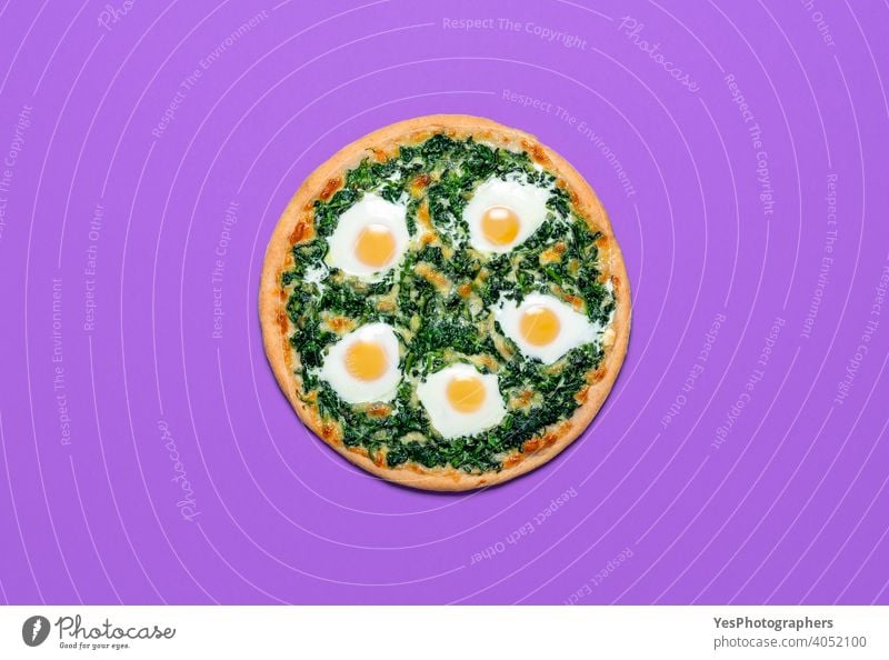 Vegetarische Pizza mit Spinat und Eiern isoliert auf lila Farbe. Pizza, flach legen Italienisch Käse farbiger Hintergrund Küche ausschneiden lecker Abendessen