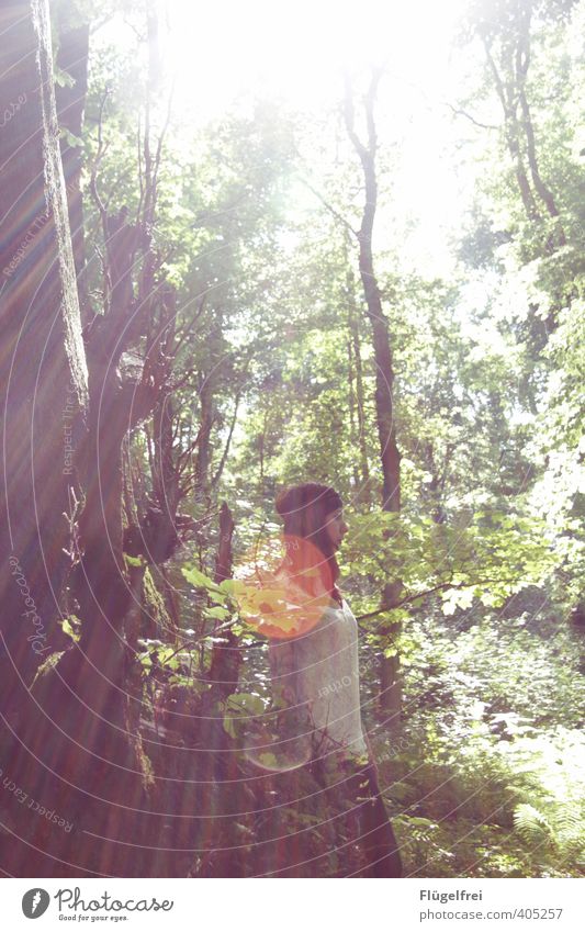 Waldruhe feminin Frau Erwachsene 1 Mensch 18-30 Jahre Jugendliche stehen beobachten Sommer Hippie Tattoo Natur Warmherzigkeit Baum ruhig verträumt träumen