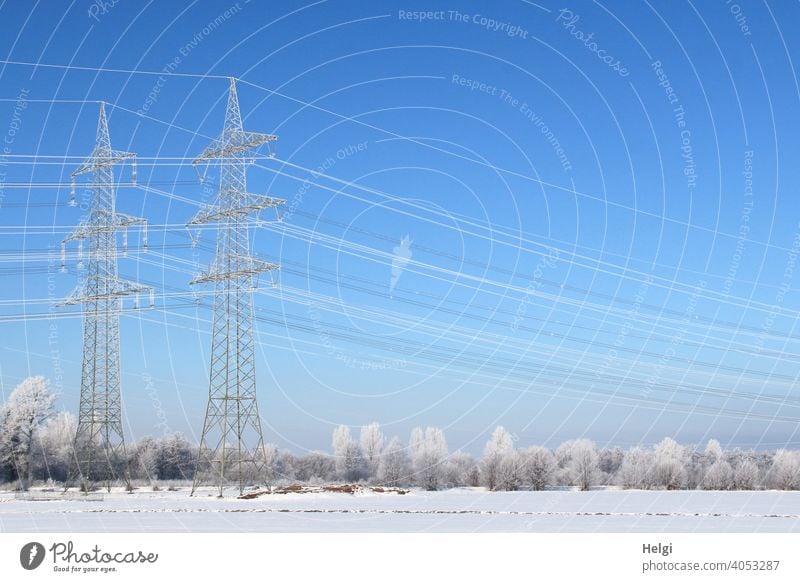 Winterwonderland - zwei riesige Strommasten, Stromleitungen und die Bäume in der Landschaft sind mit Raureif bedeckt Energie Energiegewinnung Natur Wiese Schnee