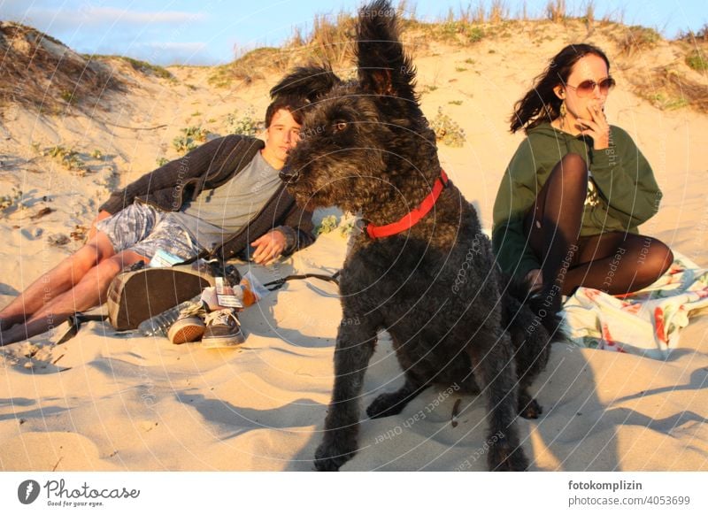 zwei Jugendliche mit Hund in einer Sanddüne Teenager chillen relaxen entspannen Freundschaft Zusammengehörigkeitsgefühl schauen Ferien & Urlaub & Reisen Strand