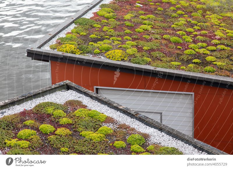 Dachbegrünung auf Hütten auf dem Wasser Architektur Farben Fluss Gewässer Haus Hauswurz Landschaft Natur Pflanze braun grau ökologisch