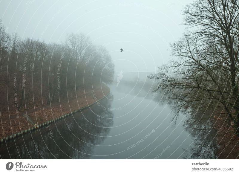 Teltowkanal bei Nebel mit Vogel ausflug diesig dunst erholung ferien fluß landschaft morgen natur nebel schifffahrt see sport teich trüb ufer urlaub wasser