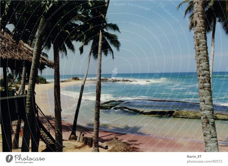 Der perfekte Strand... Sri Lanka Meer Palme Ferien & Urlaub & Reisen Sand Sonne Wetter blau