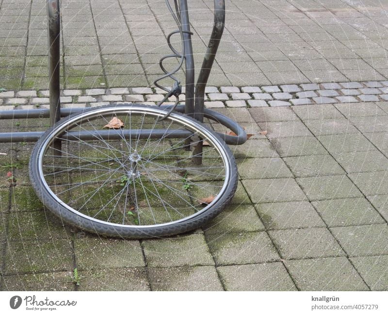 Was vom Fahrrad übrig blieb... Fahrradreifen Fahrradständer angekettet Fahrradschloss Außenaufnahme Menschenleer Tag Rad Metall Reifen Verkehrsmittel Speichen