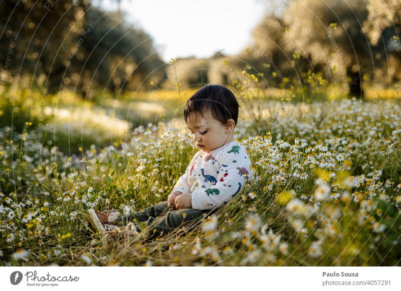 Kind pflückt Frühlingsblumen Blumenwiese Frühlingsgefühle Gänseblümchen Kindheit 1-3 Jahre Kaukasier erkunden niedlich Neugier Mensch Umwelt Blühend Natur