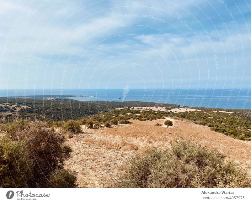 Naturschutzgebiet mit Bäumen am Meer auf Zypern Landschaft Baum Büsche Buschland Menschenleer Europa