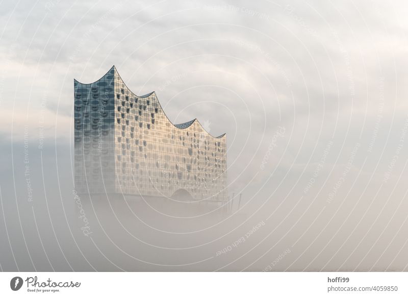 nebliger Morgen mit Sonne und schwebender moderner Architektur Elbphilharmonie Nebel Nebelschleier Wahrzeichen Hamburg außergewöhnlich Fassade Kultur
