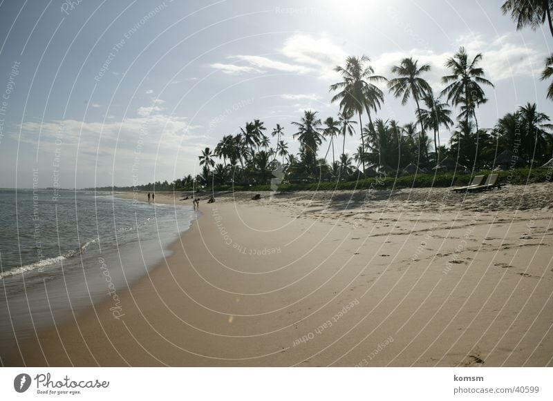 Strand Brasilien 01 Meer Palme Physik Wellen Brandung grün Wolken Sand Sonne Wärme Wasser blau Himmel