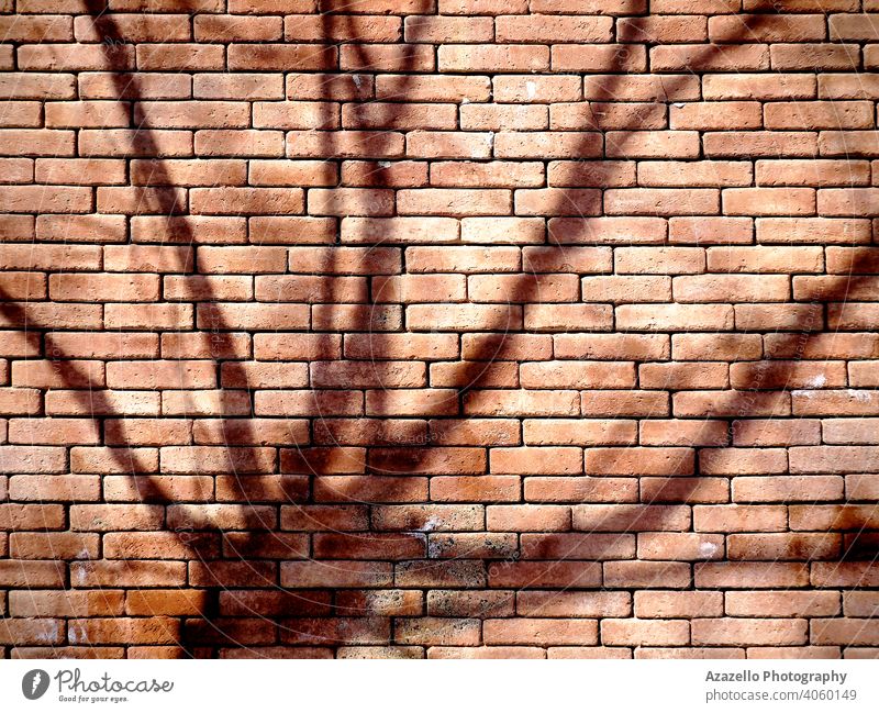 Ein Backsteinmauer-Hintergrund mit einem Baumschatten. abstrakte Kunst abstraktes Objekt Architektur Nackter Baum schwarz Klotz Baustein Mauerwerk braun Zement