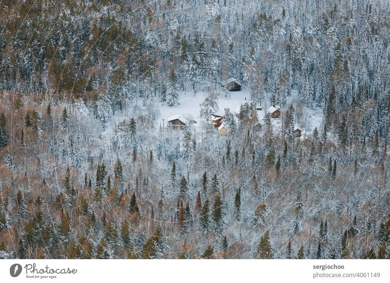 Häuser im Winterwald Vogelperspektive Jahreszeiten Frost Wald Natur Umwelt Hausbau wandern Berge u. Gebirge Holz Land Ferien & Urlaub & Reisen