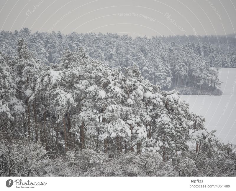 Winterlandschaft weiß Landschaft Natur Nahaufnahme ländlich Feld Ackerboden acre Schnee Sonne Sonnenschein Abendsonne kalt Himmel Baum Frost Außenaufnahme blau