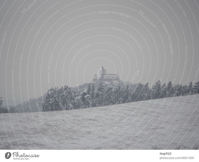 Die Wachsenburg im Winter weiß Landschaft Natur Nahaufnahme ländlich Feld Ackerboden acre Schnee Sonne Sonnenschein Abendsonne kalt Himmel Baum Frost