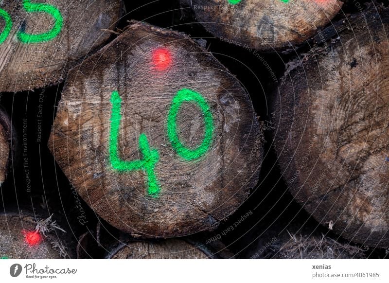 40 in leuchtend Grün steht auf einem Baumstamm geschrieben, dazu leuchten zwei rote Punkte auf dem Holz Holzstapel Forstwirtschaft Abholzung Nutzholz Stapel