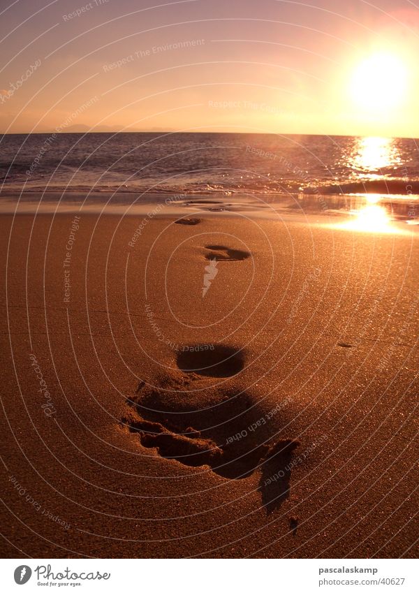 Beachlife Strand Fußspur Sonnenuntergang Lanzarote Spanien Europa Barfuß