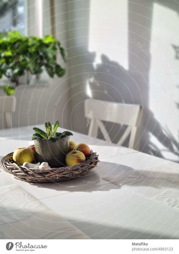 Der Küchentisch im Sonnenlicht Tisch Schattenspiel Essen Apfel Pflanze Ruhe Lebensmittel Raum zuhause Farbfoto Foodfotografie Tischplatte Esstisch Esszimmer