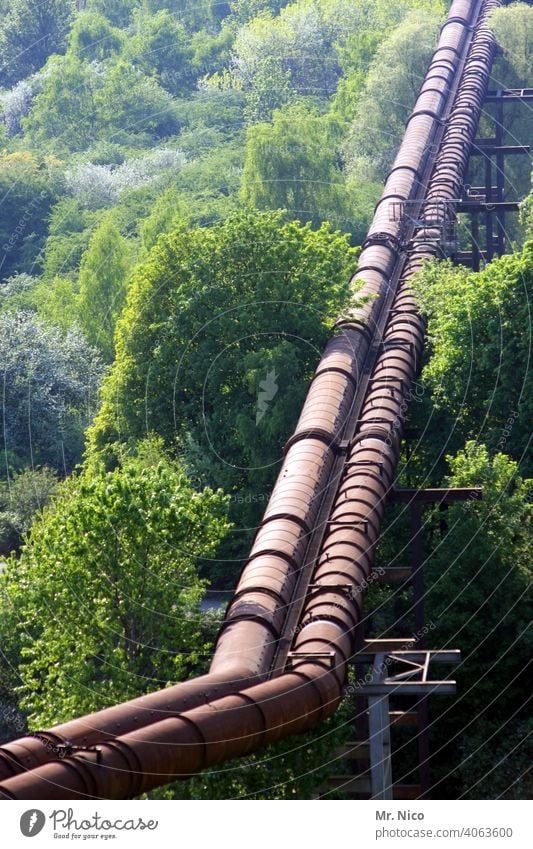 Pipeline mit knick Industrie Wald Technik & Technologie Linie Umwelt Gas Röhren Natur Landschaft Maschinenbau Konstruktion Kraft Energie Infrastruktur