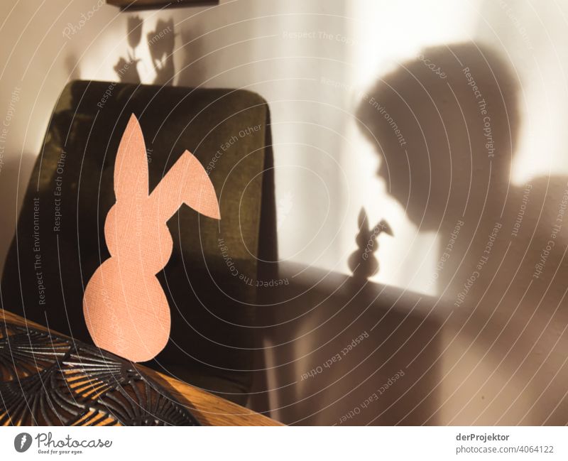 Osterhasenschatten wird aufgefressen Hase & Kaninchen fake künstlich Künstlerisch ostereiersuche grau Studiobeleuchtung Religion & Glaube Jesus Christus fest
